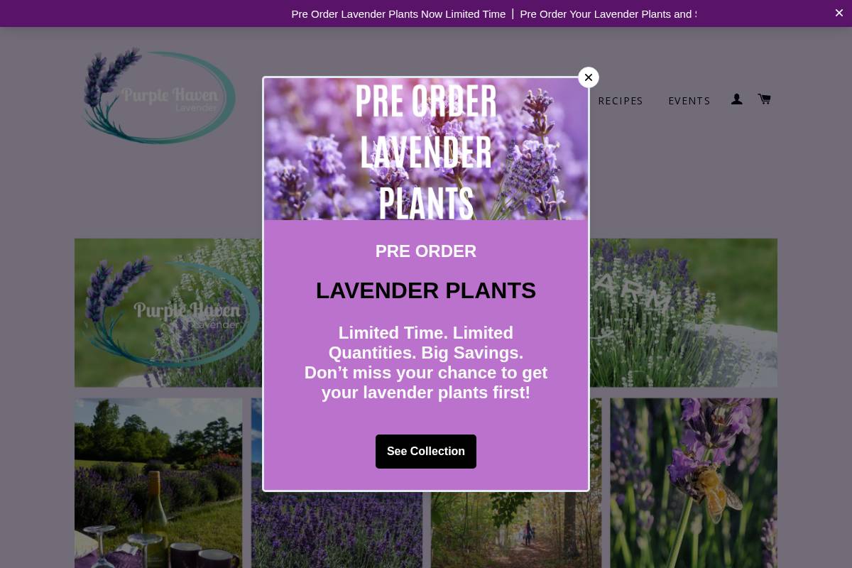 purplehaven.ca homepage screenshot