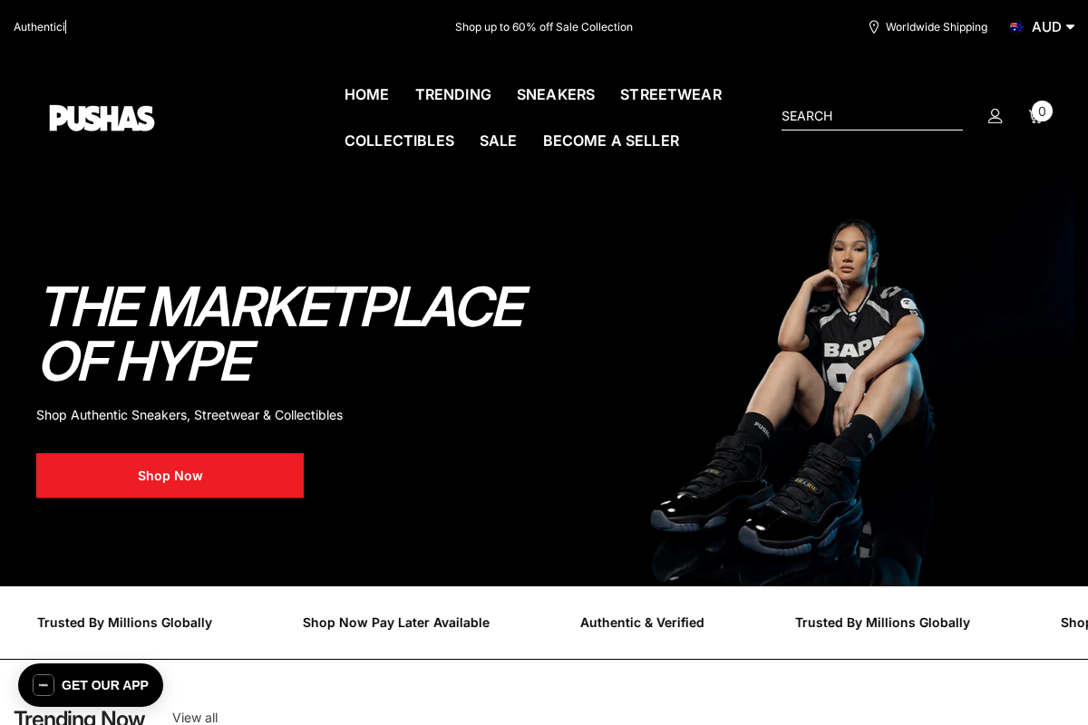 PUSHAS homepage screenshot