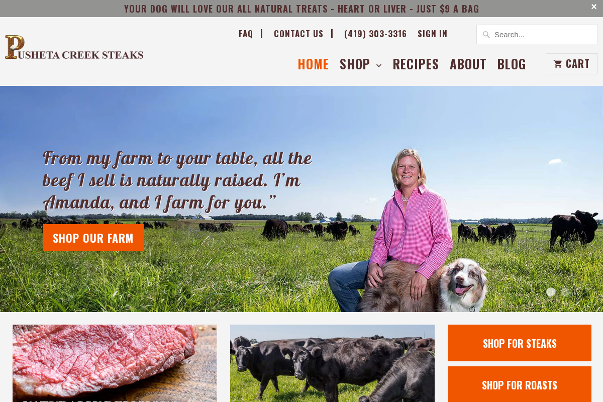Pusheta Creek Steaks homepage screenshot