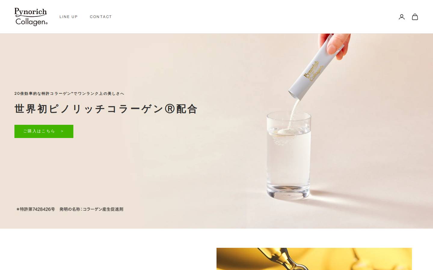 pynorich-collagen.com homepage screenshot