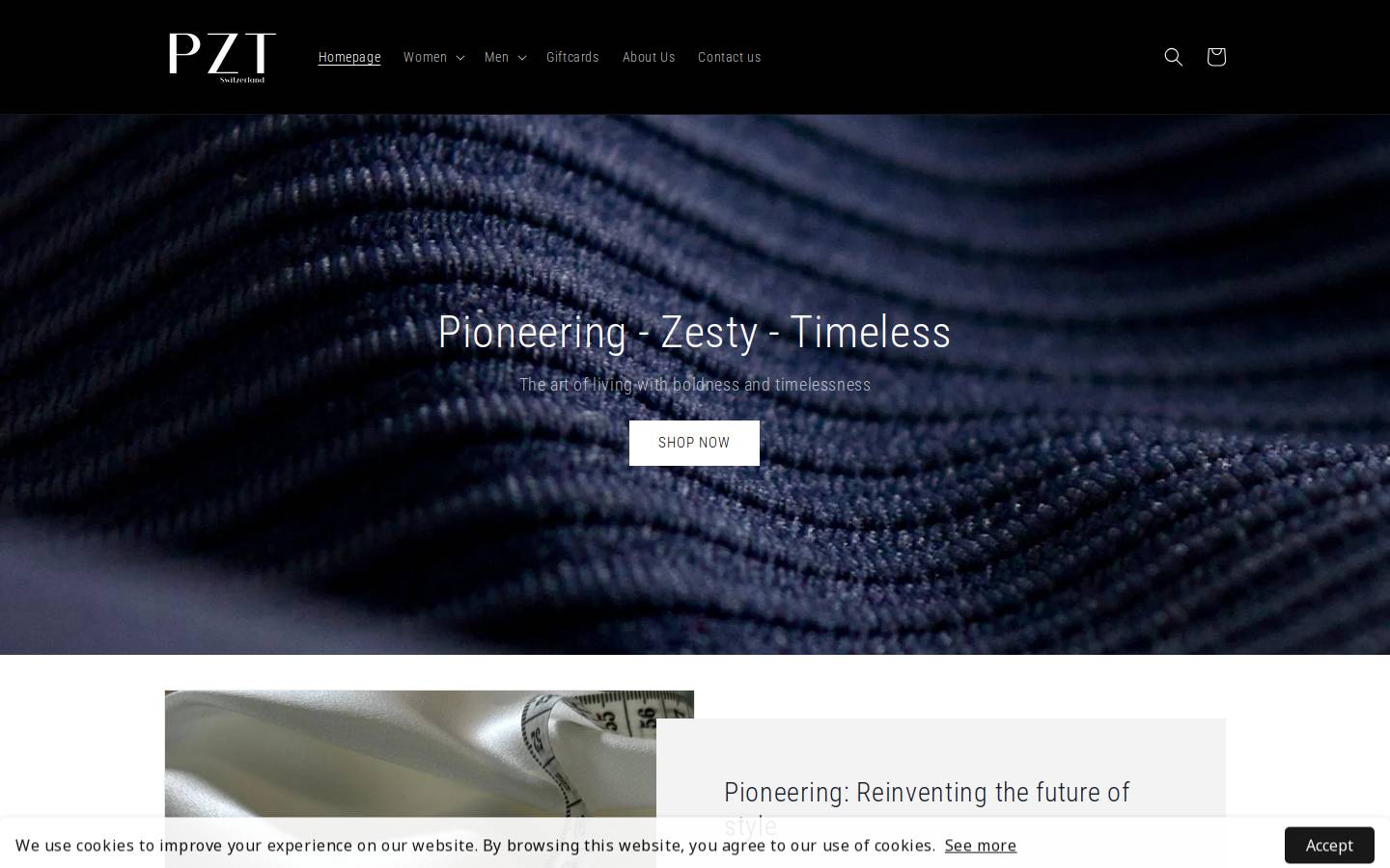 pzt-tact.com homepage screenshot
