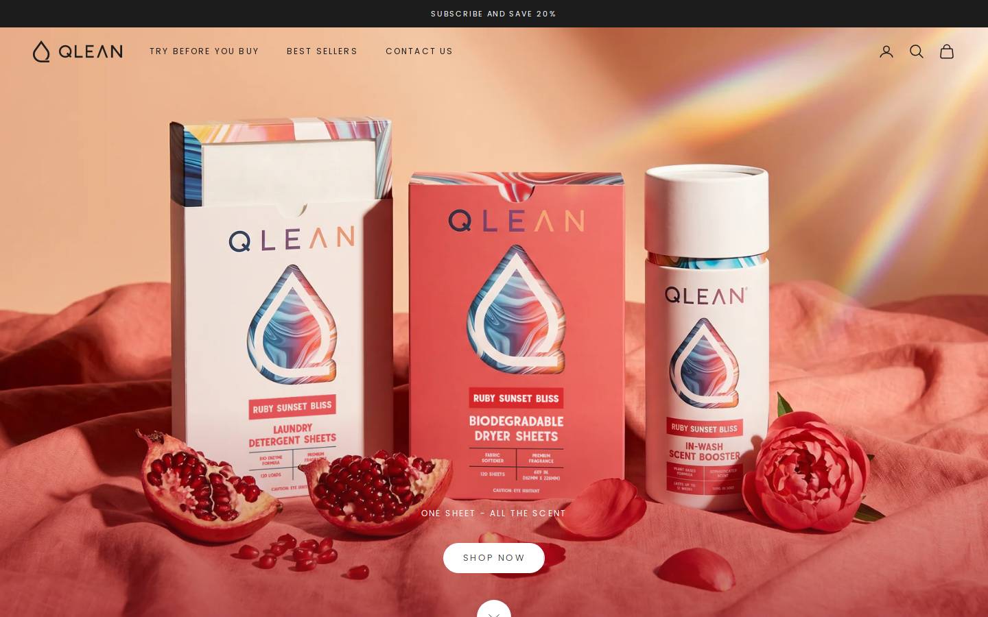 Qlean Laundry homepage screenshot
