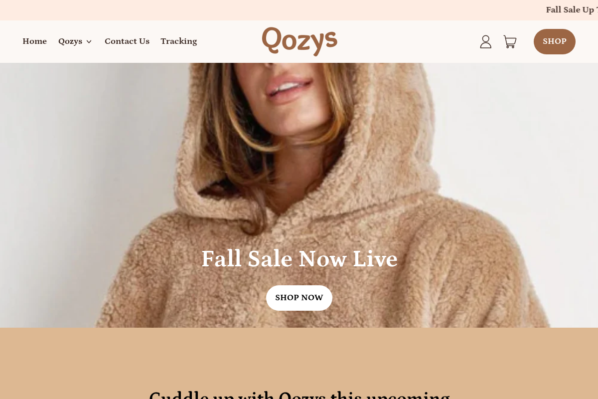 Qozys homepage screenshot