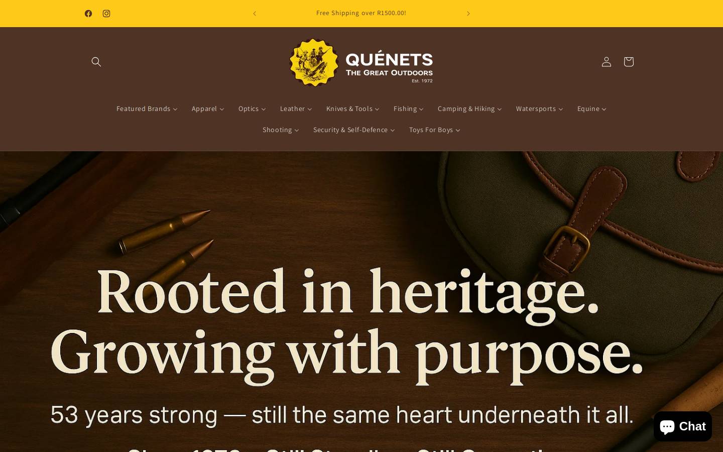 quenets.co.za homepage screenshot