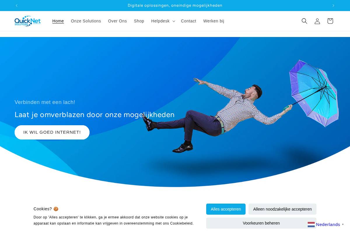 QuickNet Solutions homepage screenshot