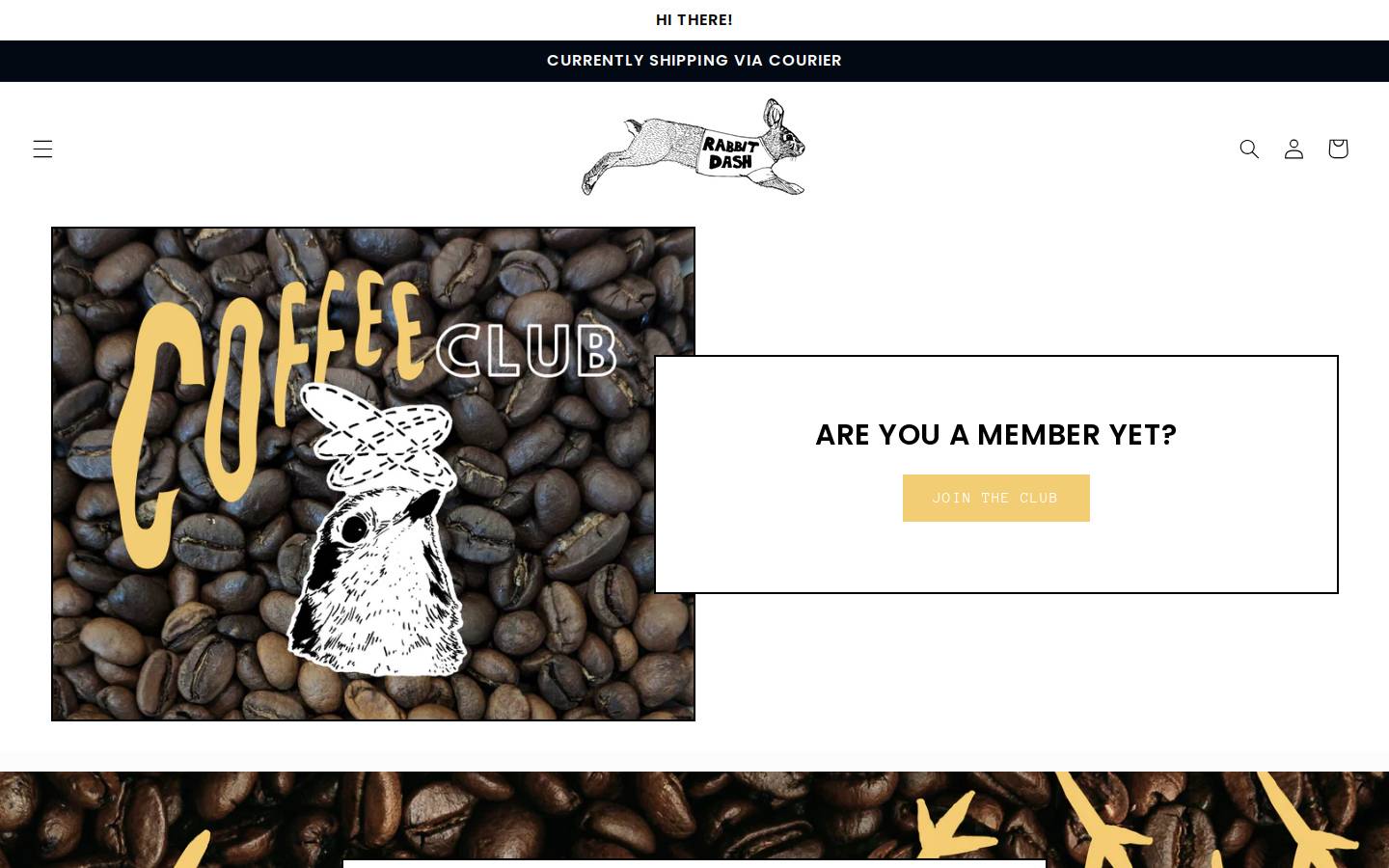 rabbitdashinc.com homepage screenshot