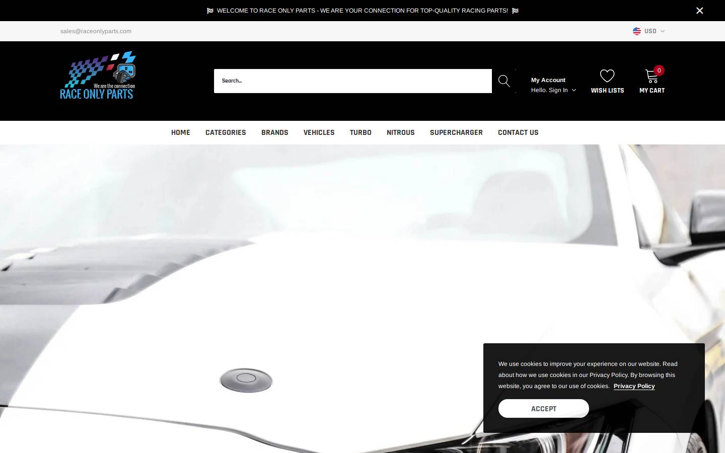 raceonlyparts.com homepage screenshot