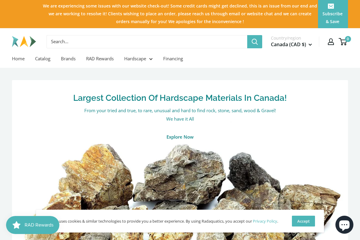 Rad Aquatic Design homepage screenshot