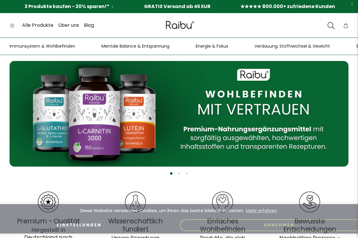 Raibu homepage screenshot