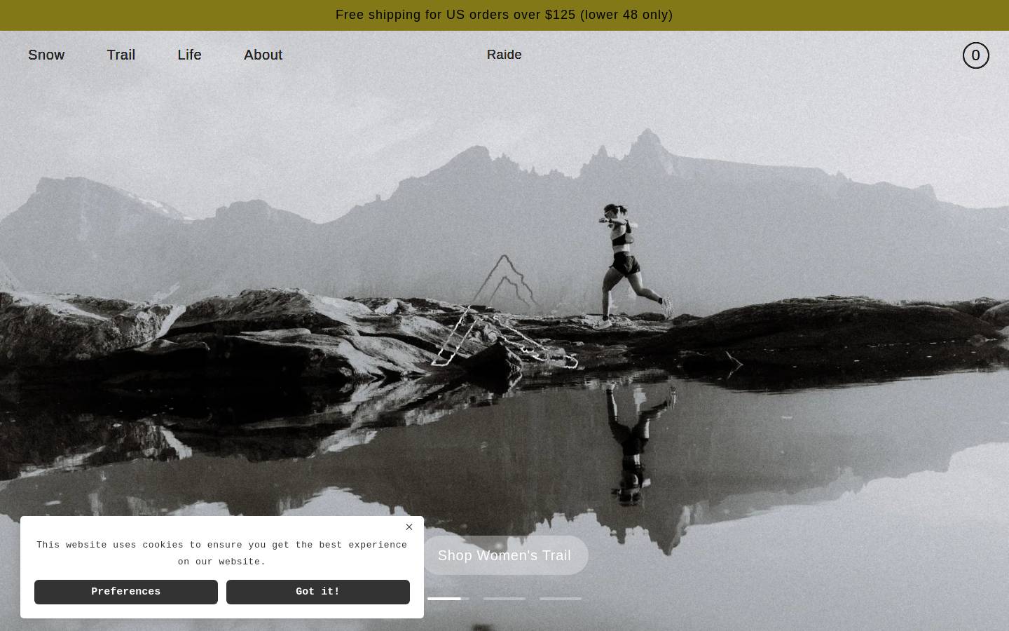 raideresearch.com homepage screenshot
