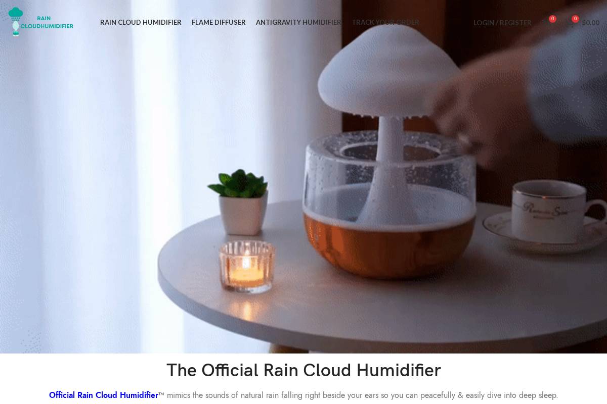 raincloud-humidifier.com homepage screenshot