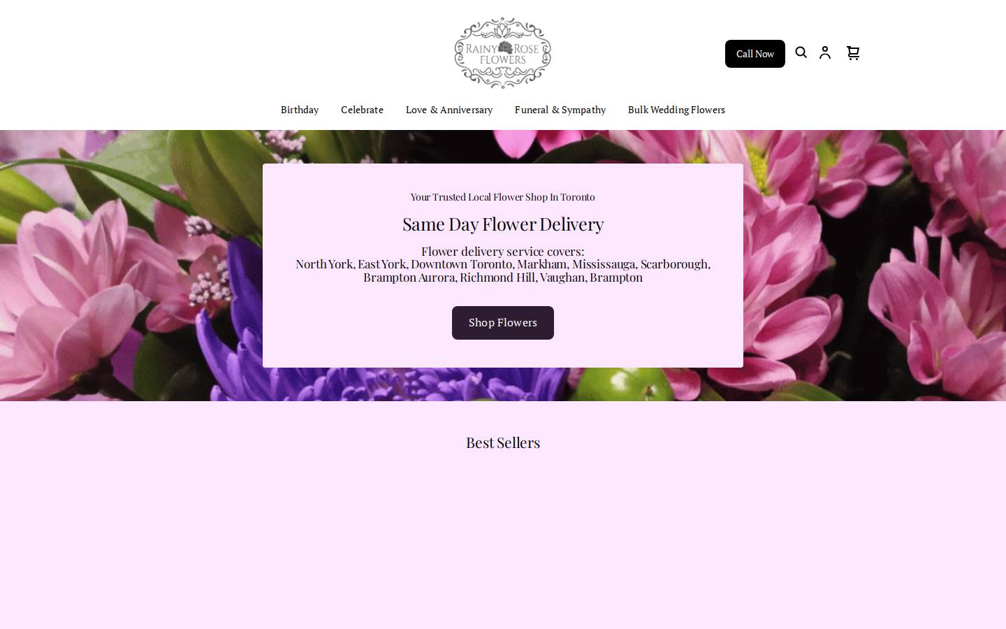 rainyrose.ca homepage screenshot