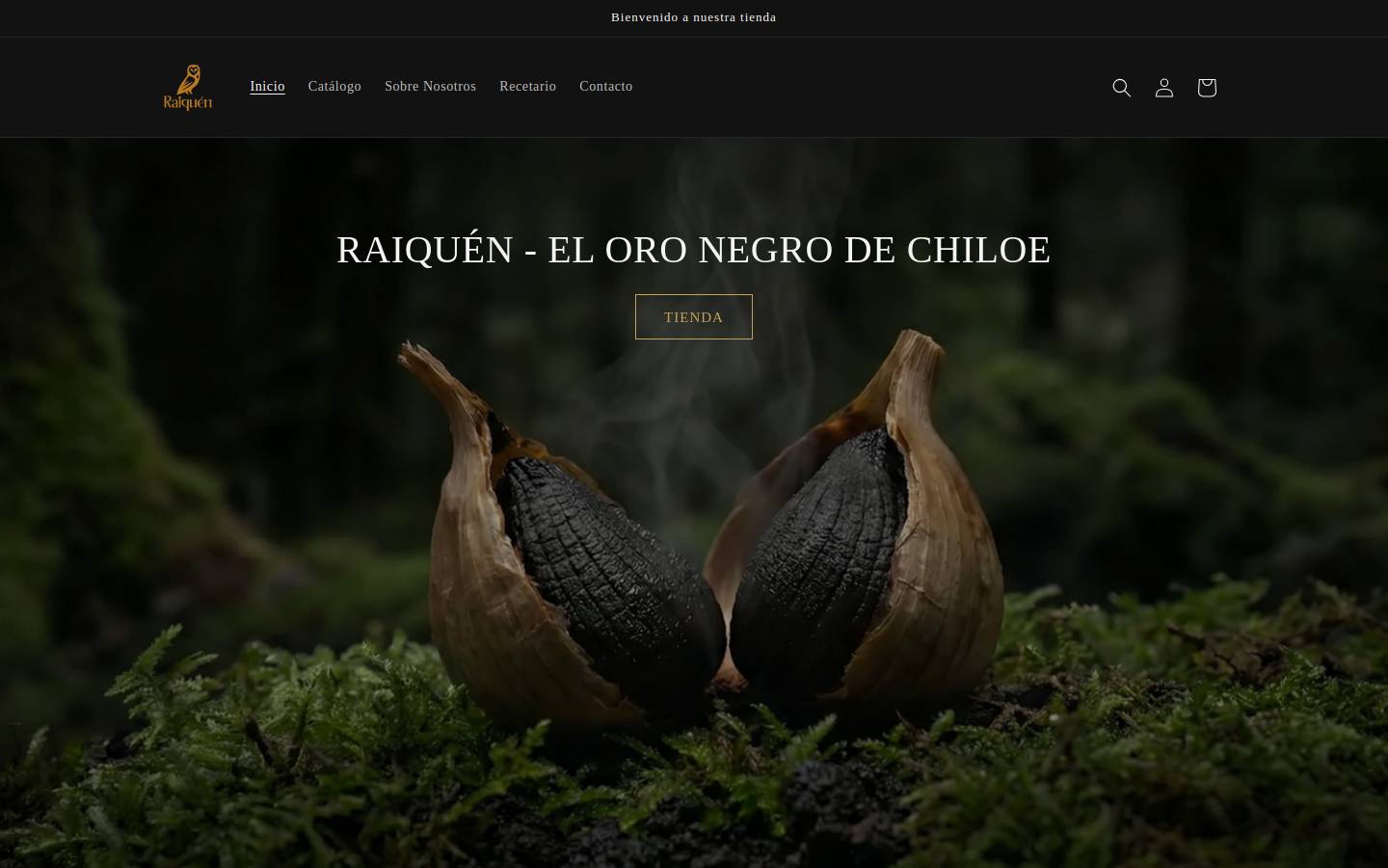 raiquen.cl homepage screenshot