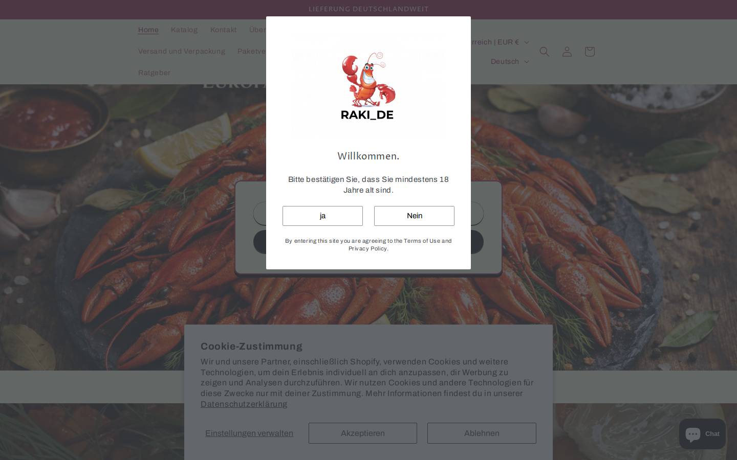rakide.com homepage screenshot