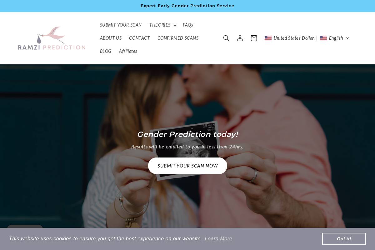 Ramzi Prediction homepage screenshot