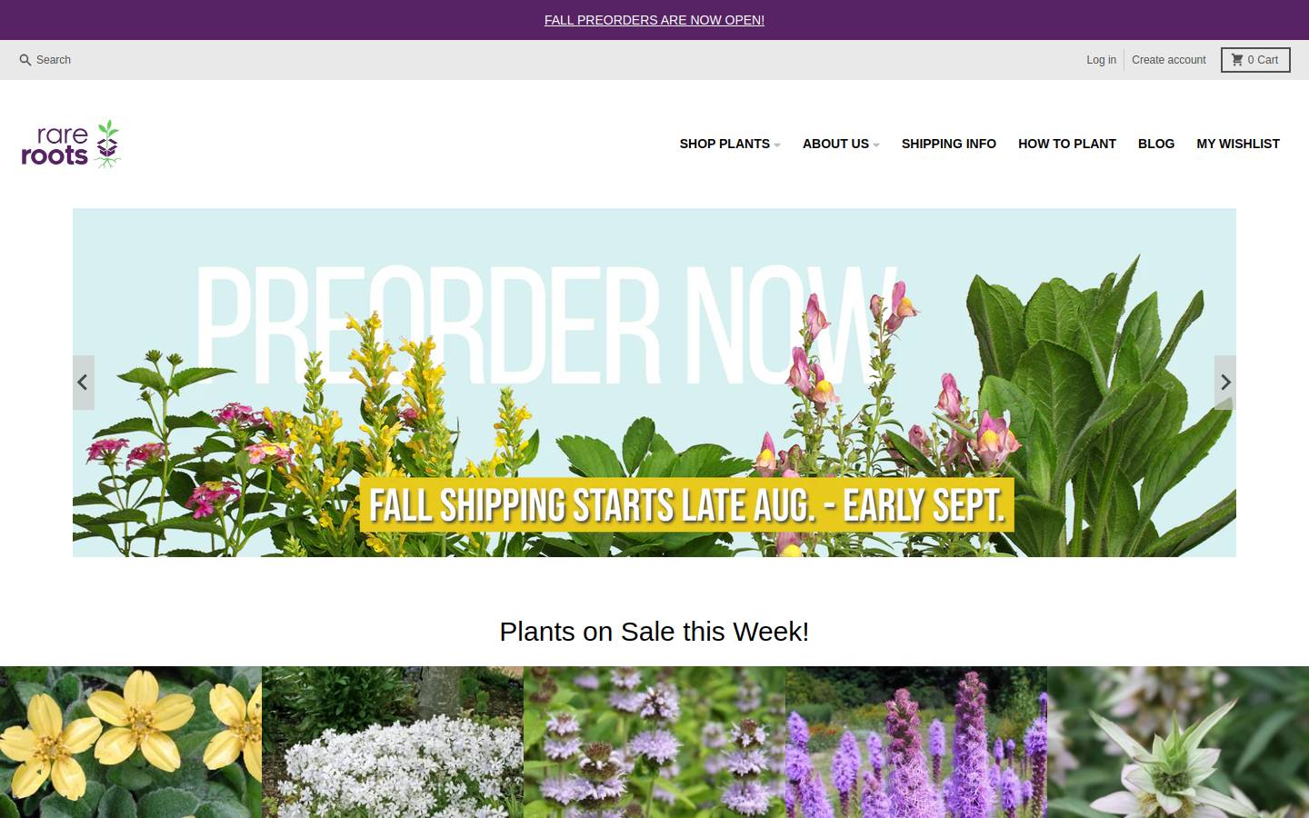 rareroots.com homepage screenshot