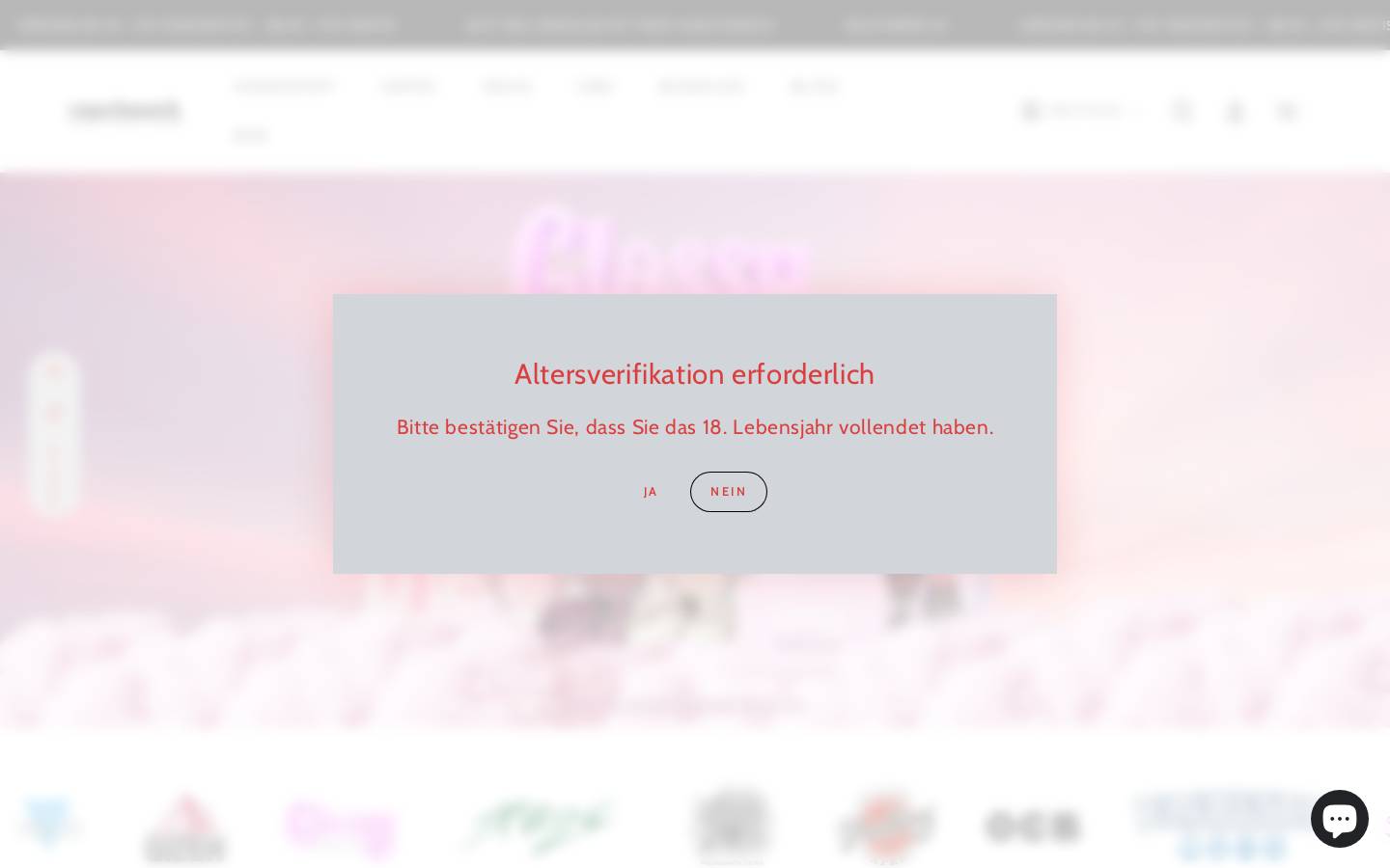 rauch-werk.com homepage screenshot