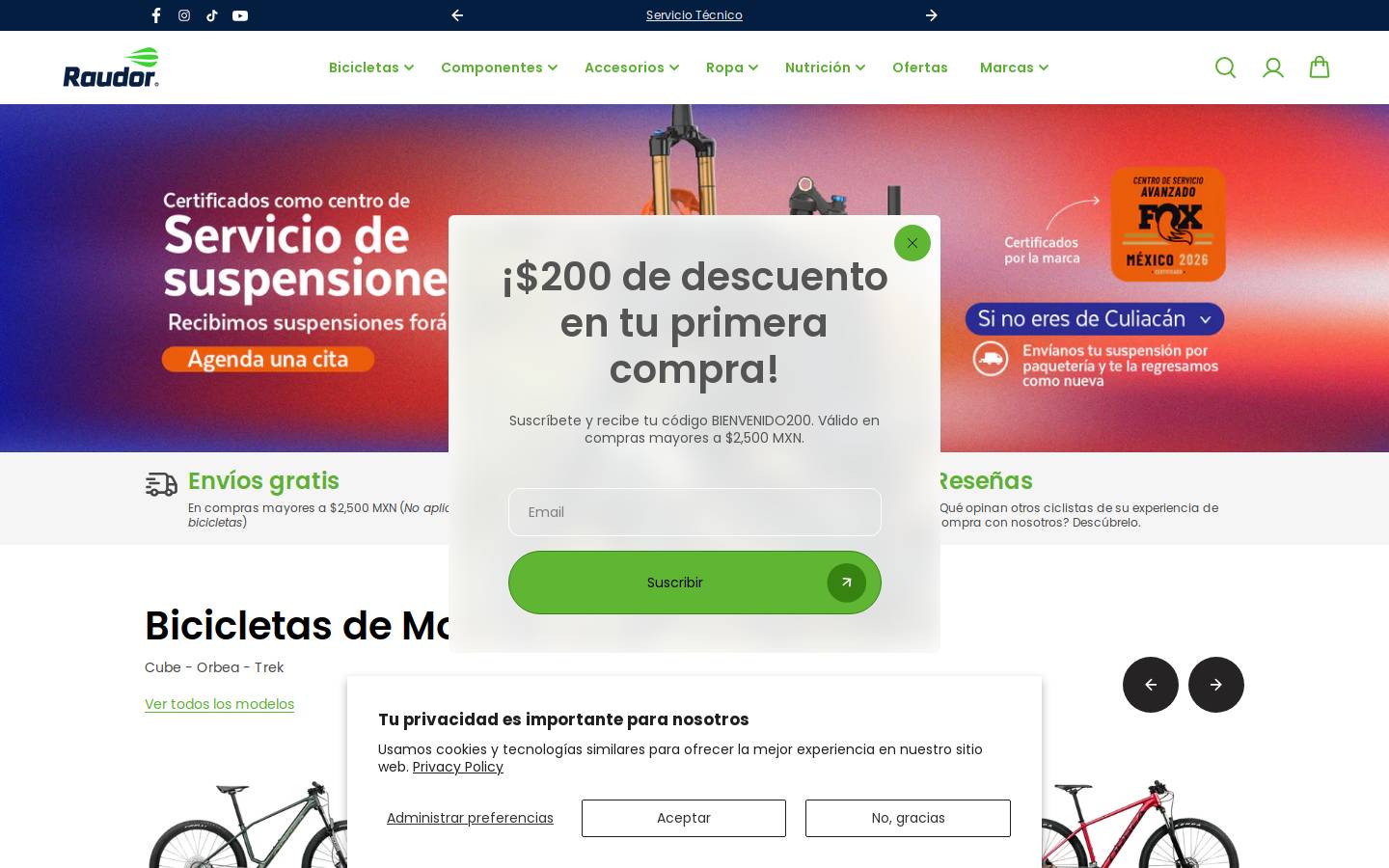 raudor.com homepage screenshot