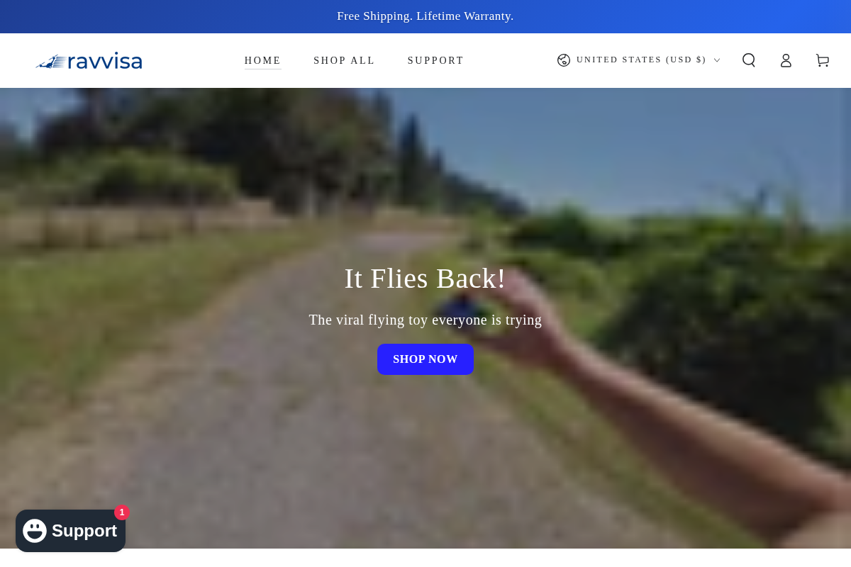 ravvisa.com homepage screenshot