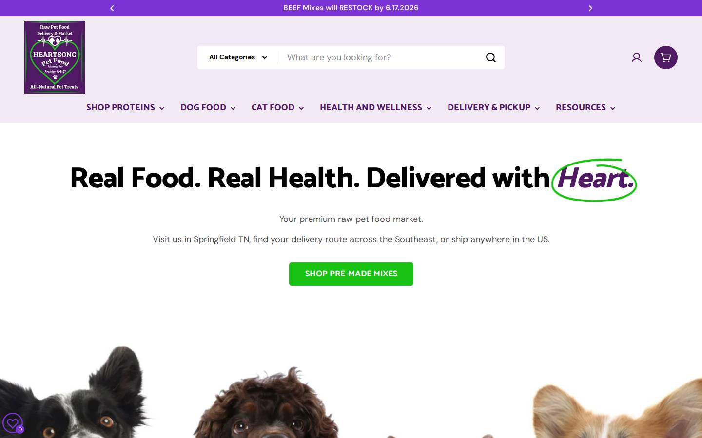 rawpetfooddeliverymarket.com homepage screenshot
