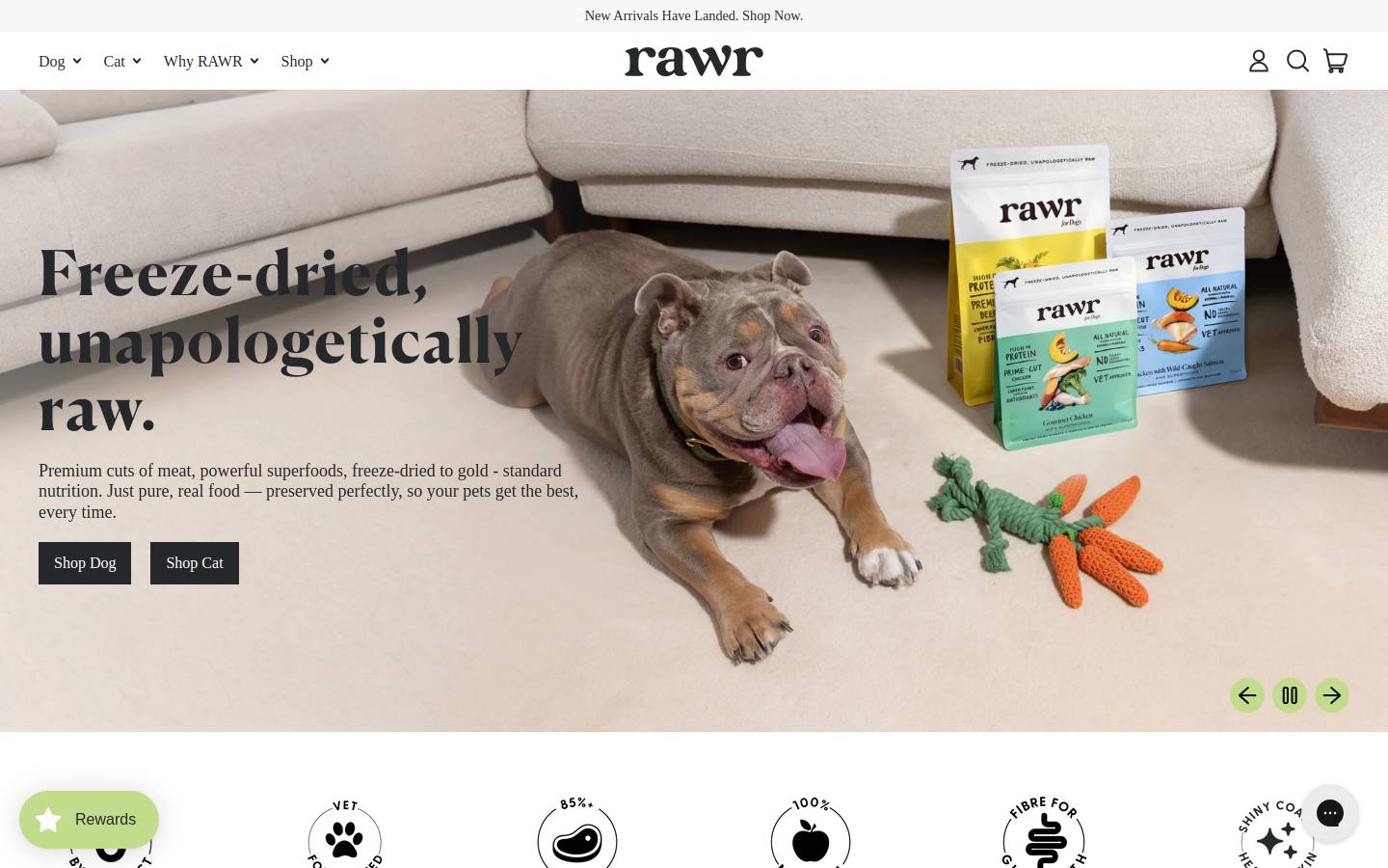 RAWR Pet Food homepage screenshot