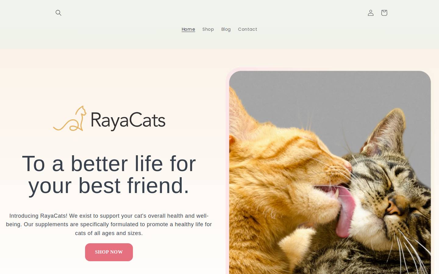 rayacats.com homepage screenshot