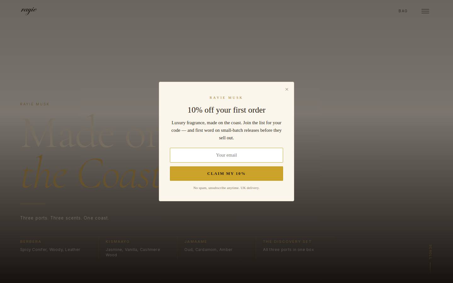 rayiemusk.com homepage screenshot