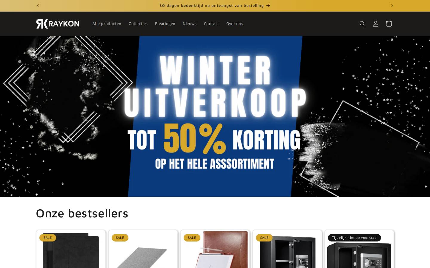 Raykon homepage screenshot