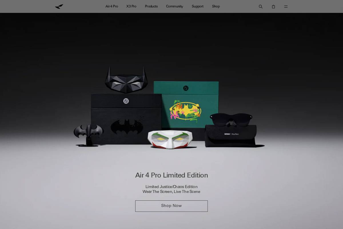 Rayneo homepage screenshot
