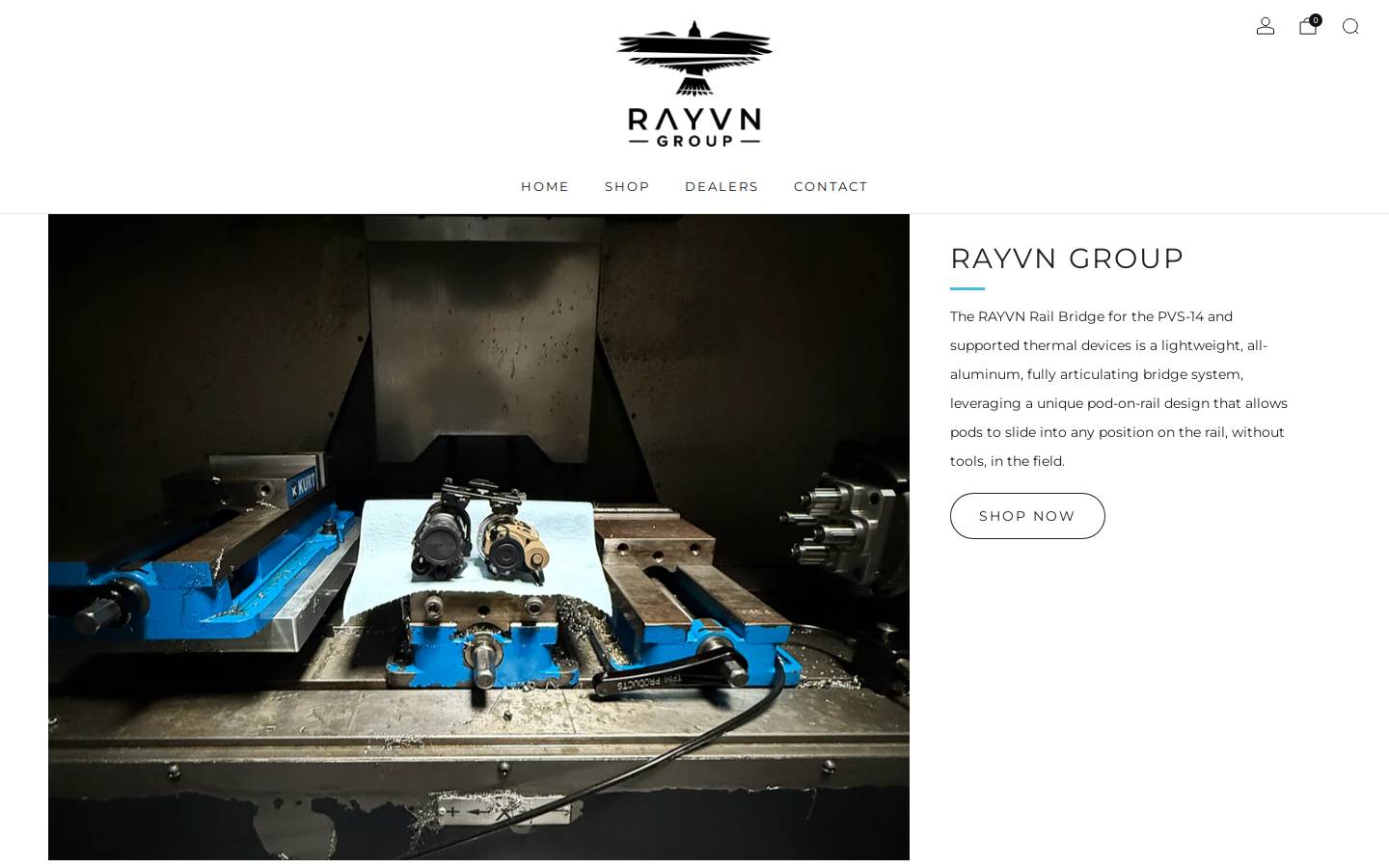 rayvngroup.com homepage screenshot