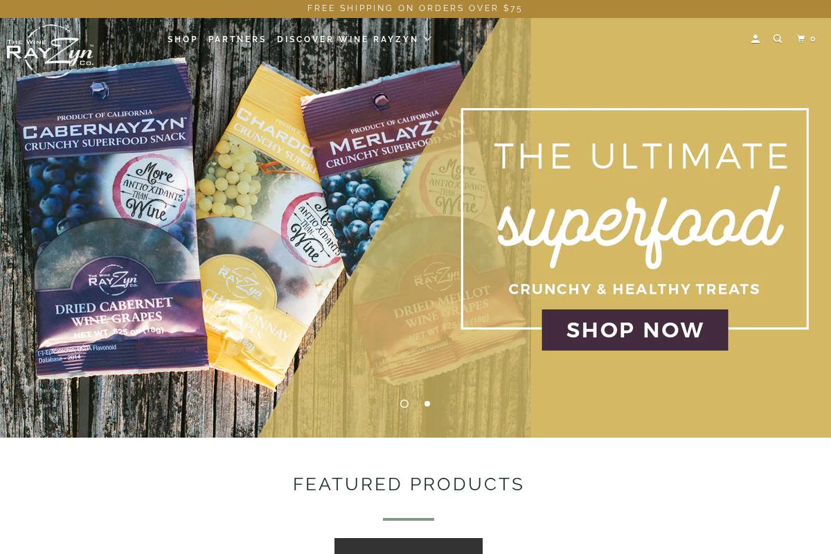 rayzyn.com homepage screenshot