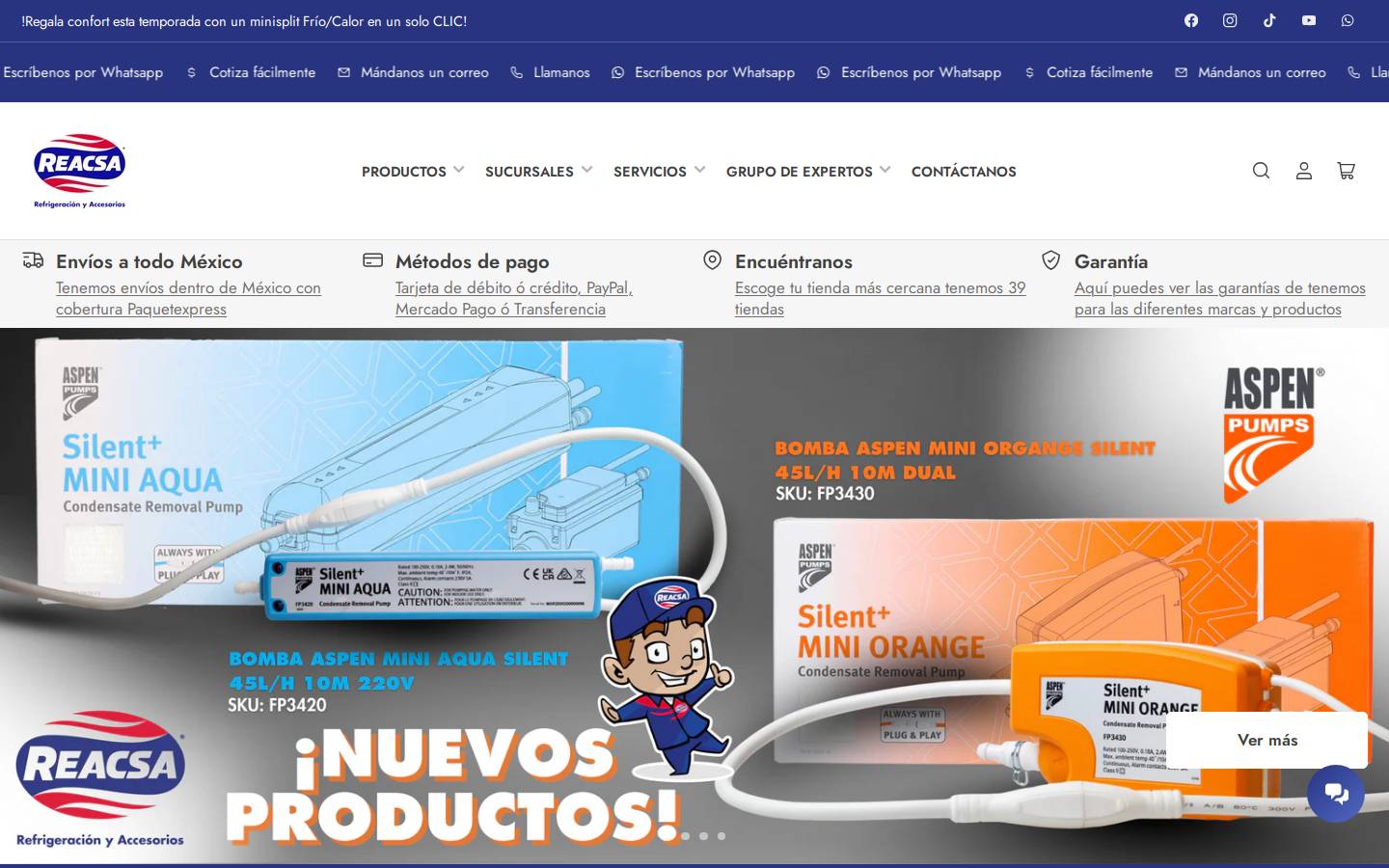 reacsa.mx homepage screenshot