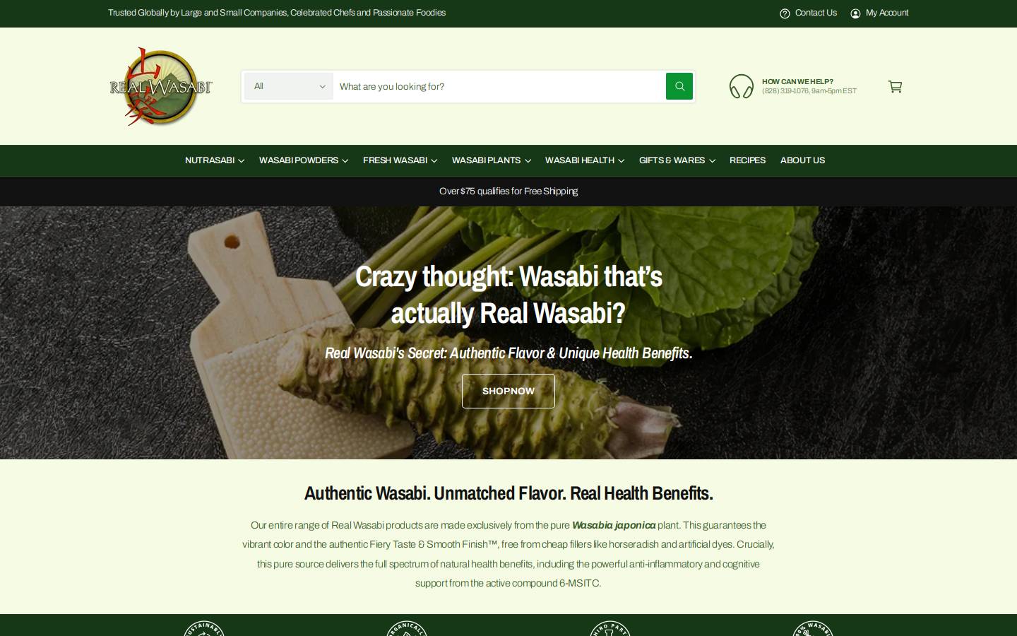 realwasabi.com homepage screenshot