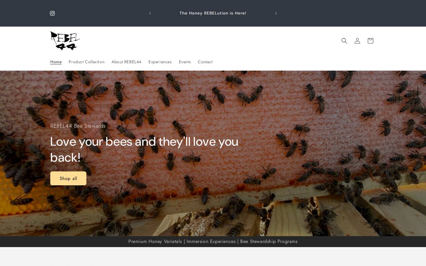 rebel44.com homepage screenshot