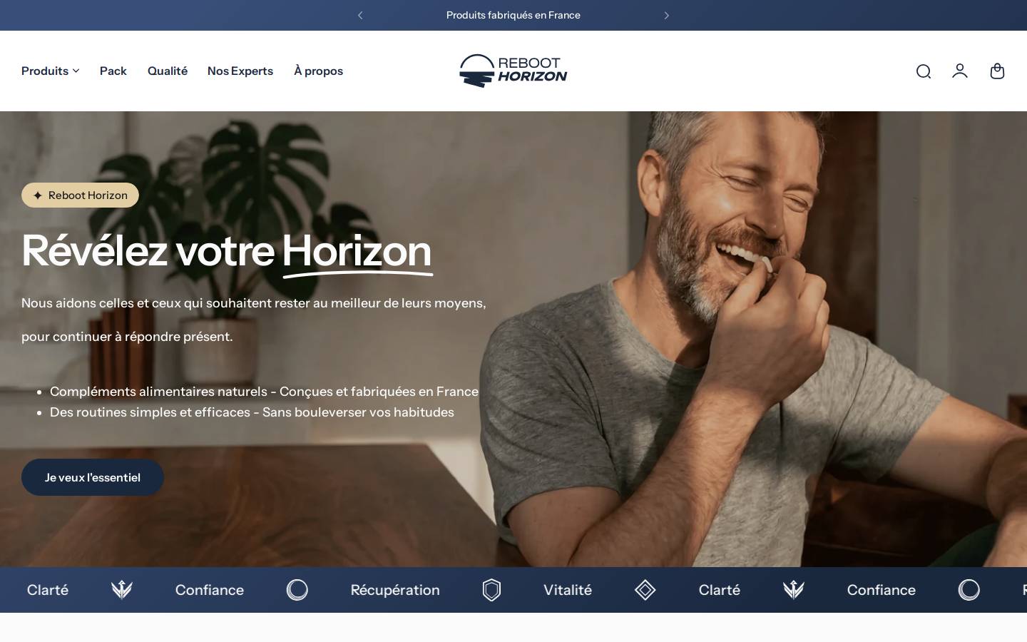 reboot-horizon.com homepage screenshot