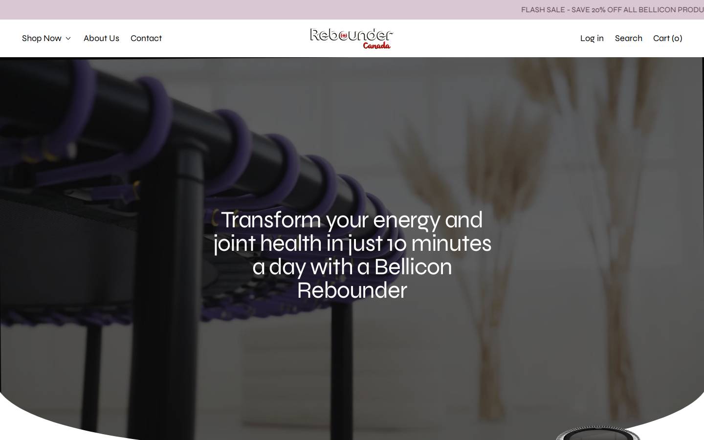 reboundercanada.com homepage screenshot