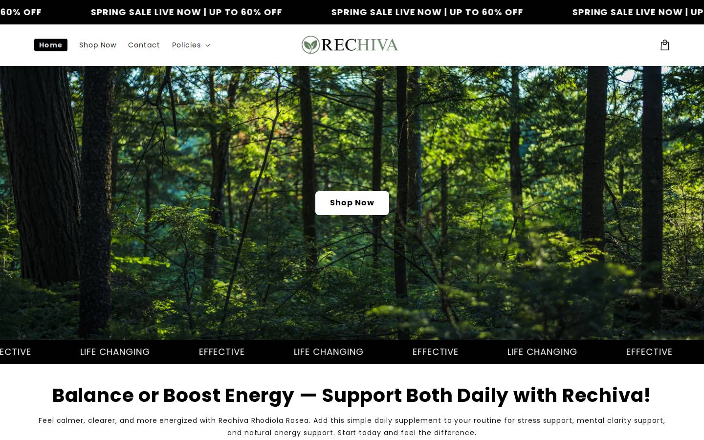 rechiva.com homepage screenshot