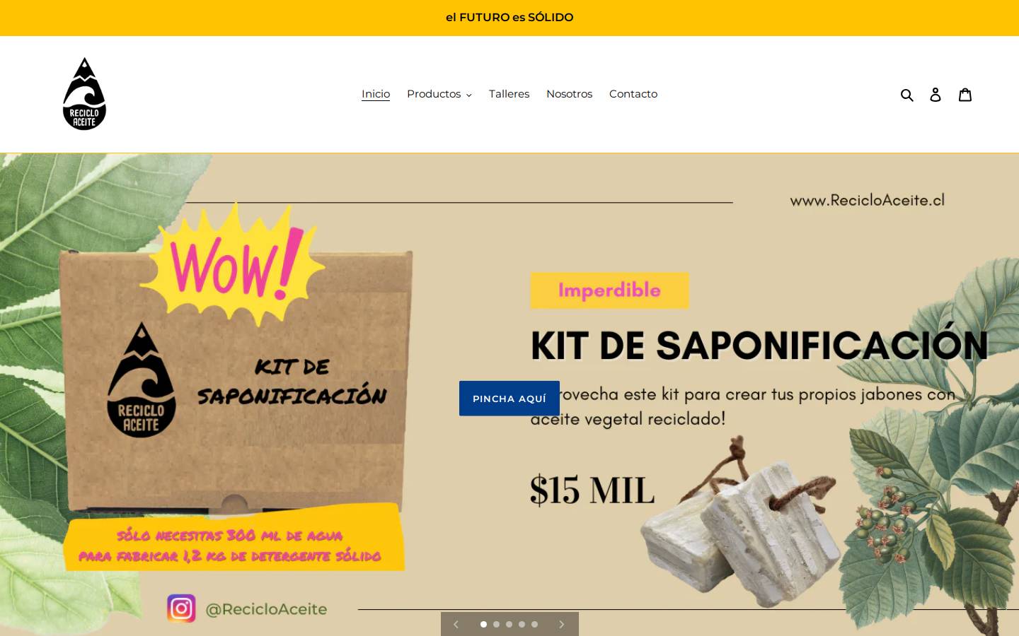 recicloaceite.cl homepage screenshot