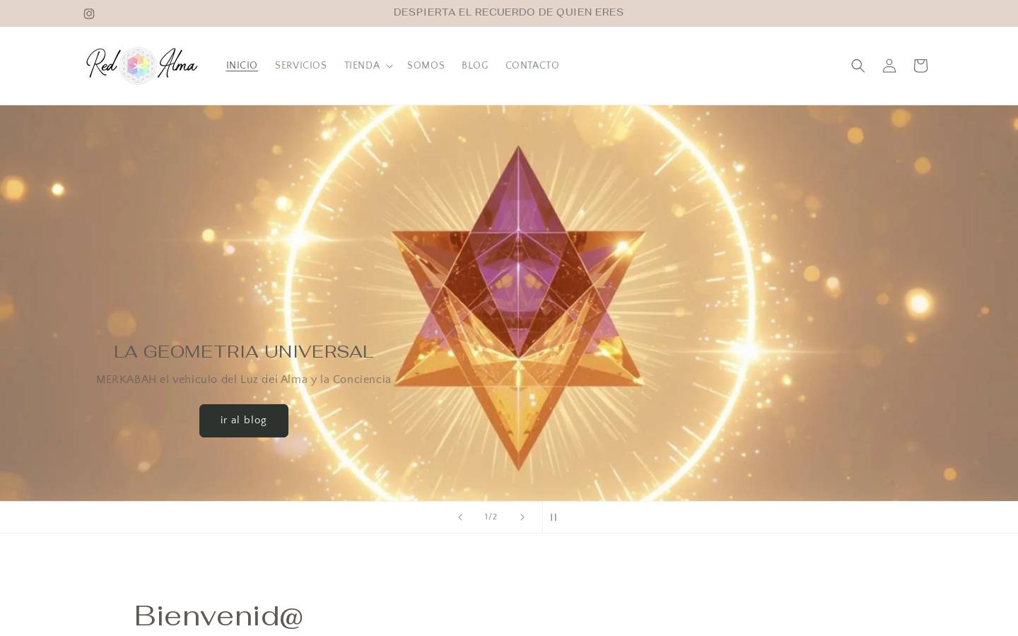 redalma.cl homepage screenshot