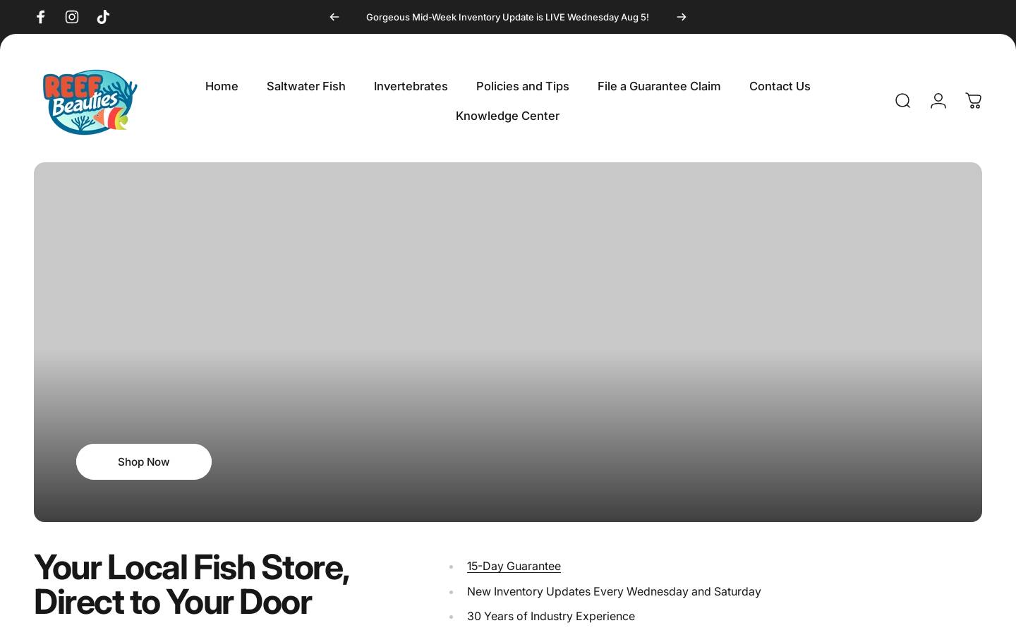 reefbeauties.com homepage screenshot
