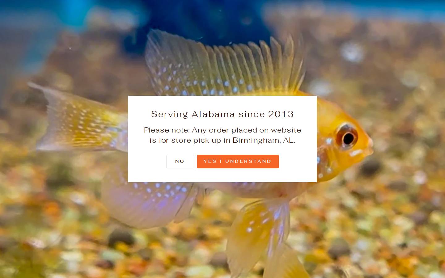 reeflifeaquariums.com homepage screenshot