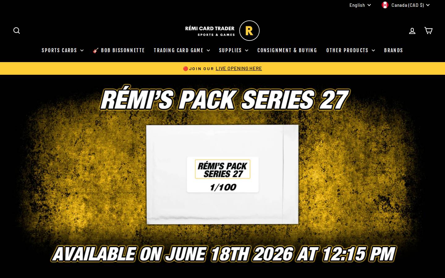 remisportcard.com homepage screenshot