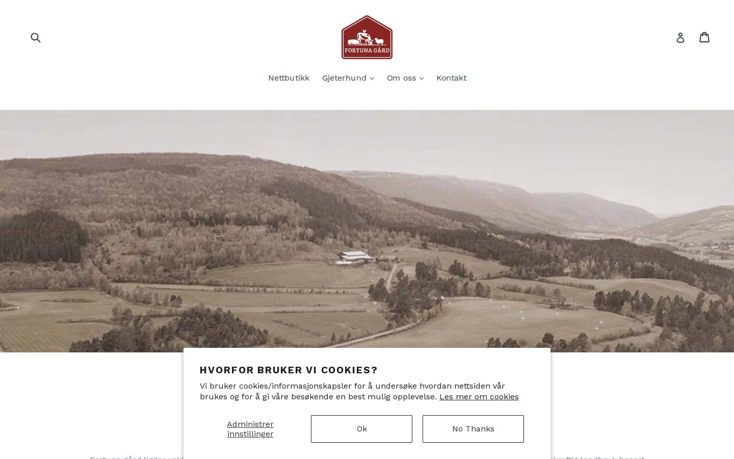 reneravarer.no homepage screenshot