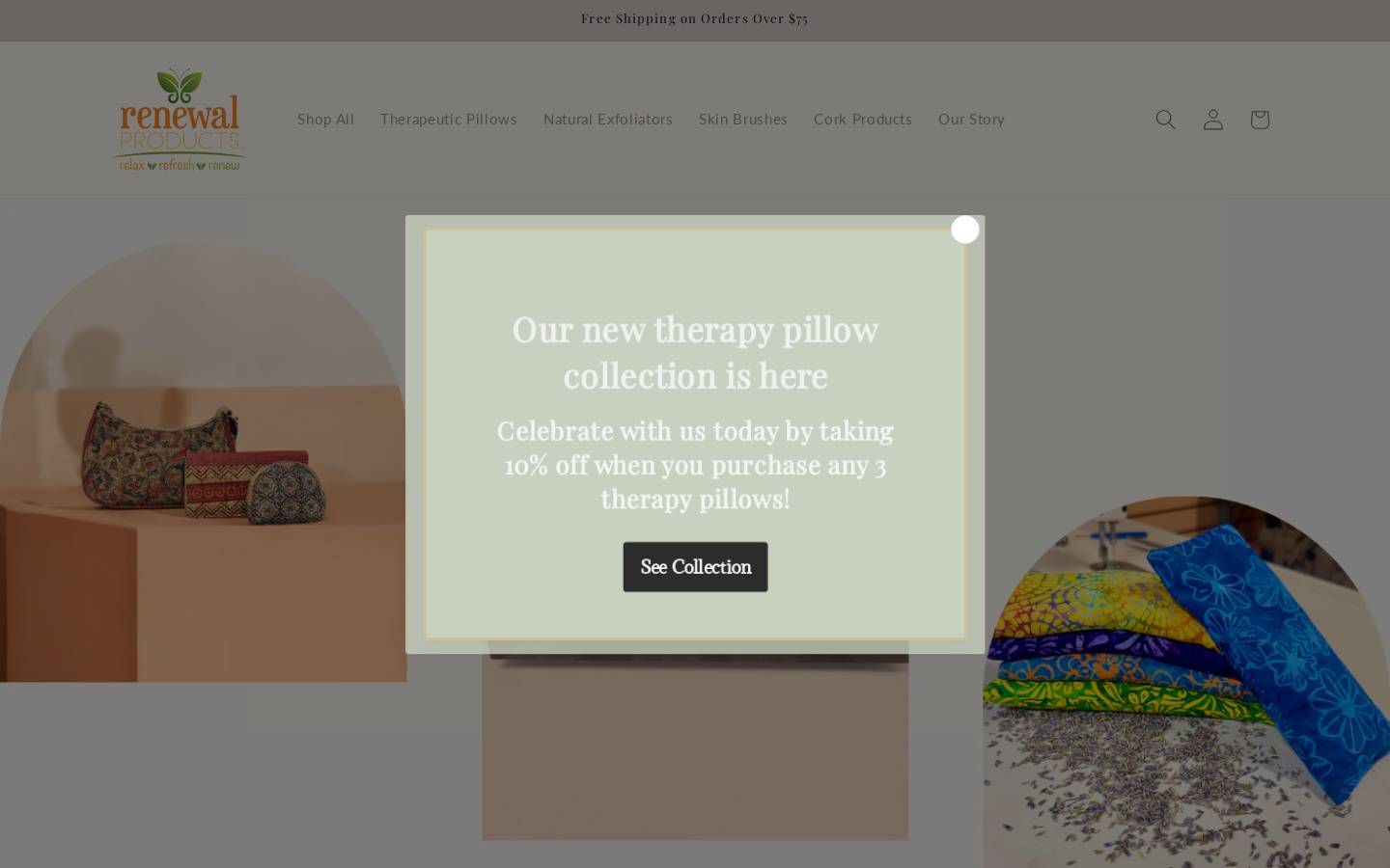 renewalproducts.com homepage screenshot