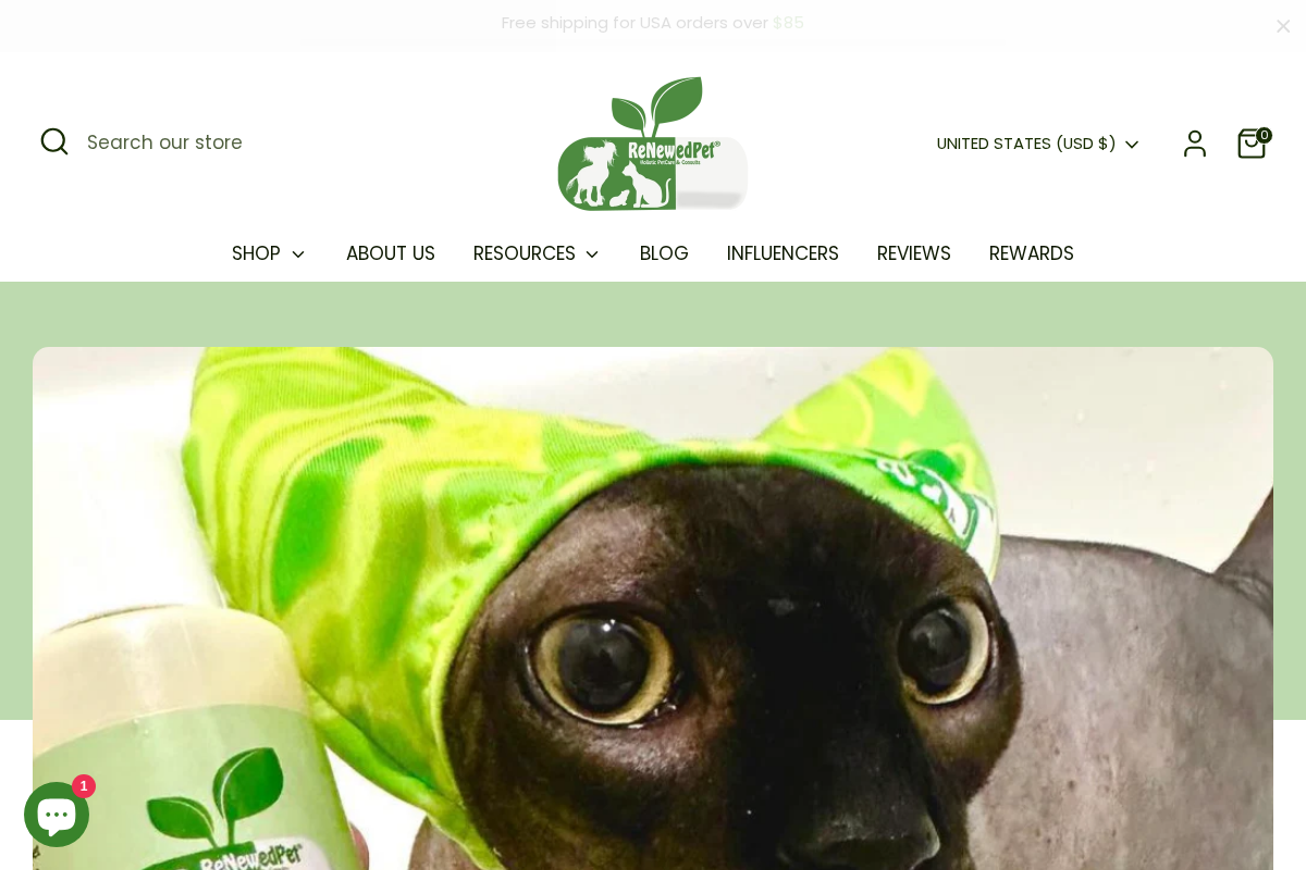 ReNewedPet homepage screenshot