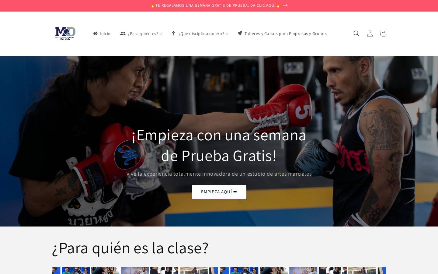 renzogracie.mx homepage screenshot