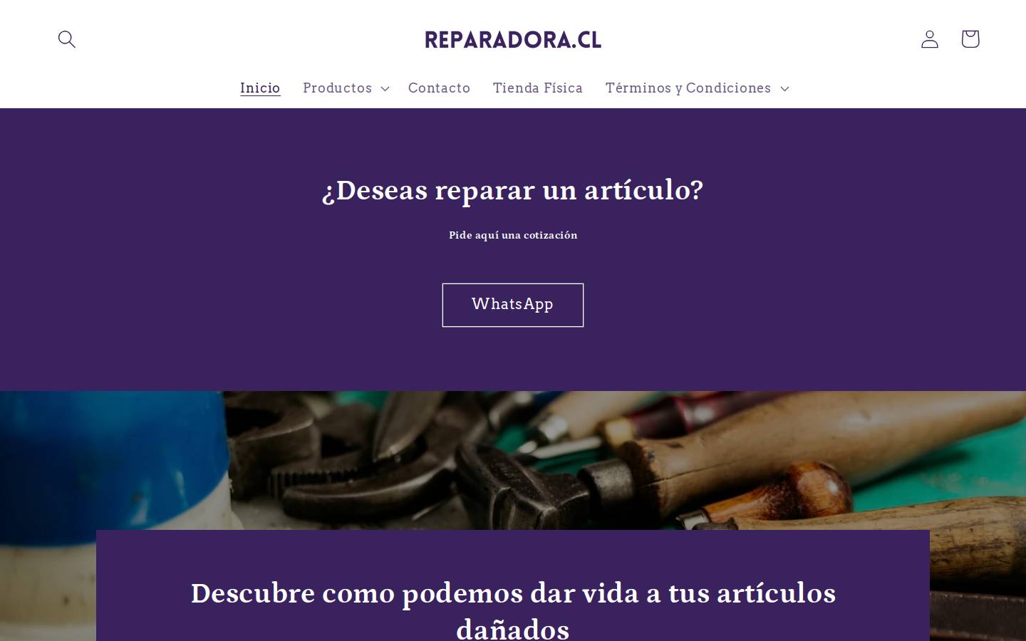 reparadora.cl homepage screenshot