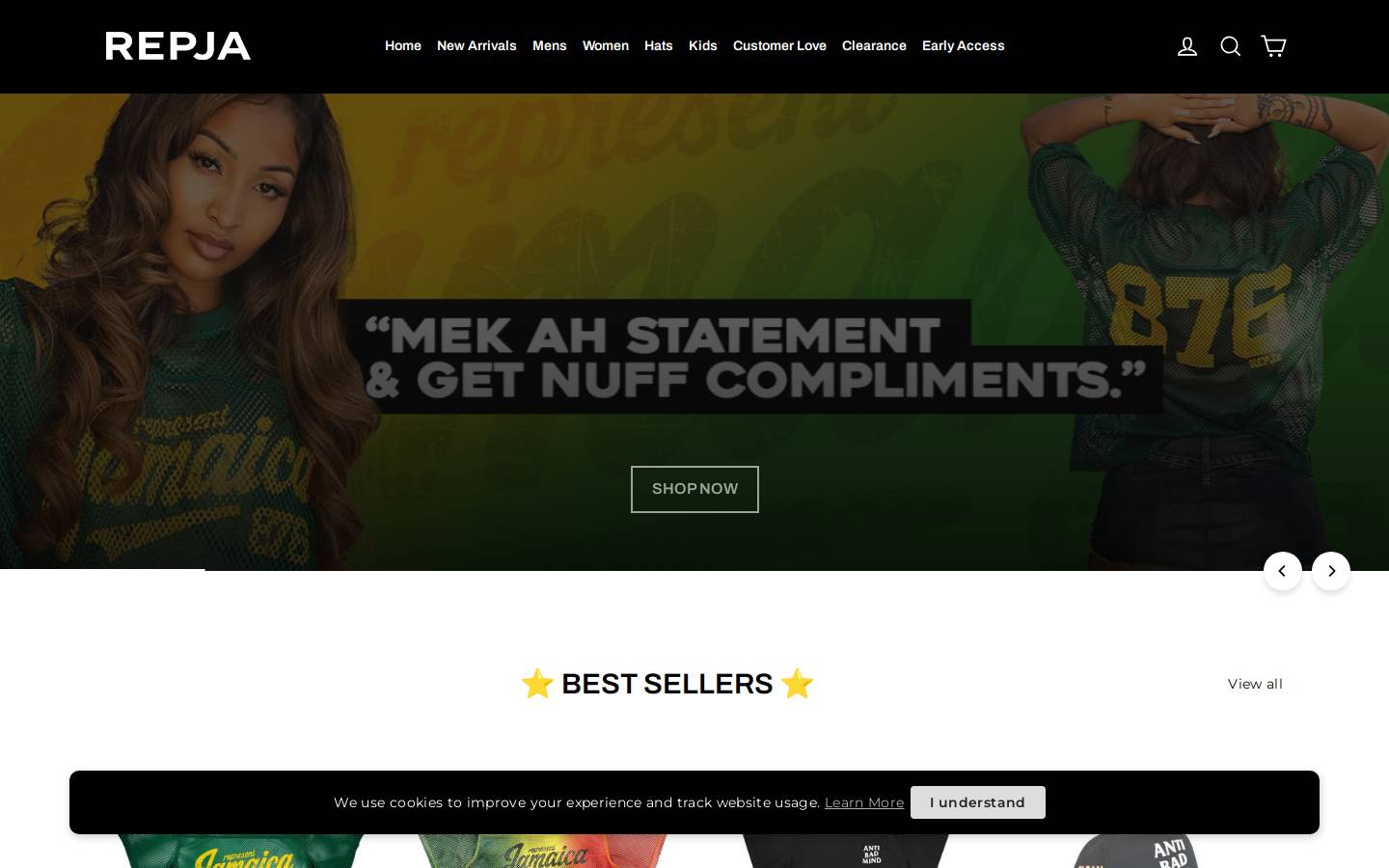 repja.com homepage screenshot