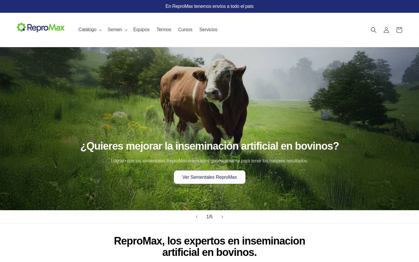 repromax.com.mx homepage screenshot