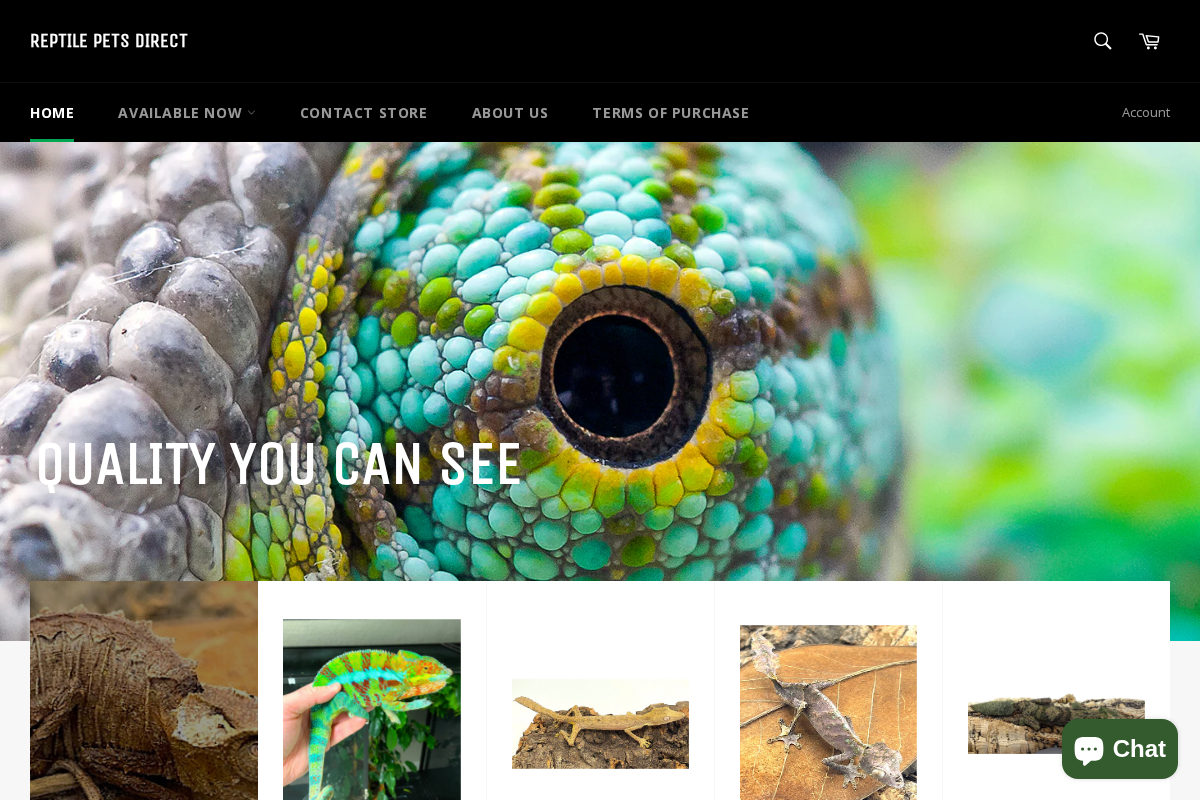 Reptile Pets Direct homepage screenshot